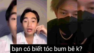 Bạn có biết tóc bum bê k?