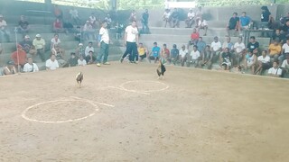 bcj/gf boss ng mga boss JALAJALA RIZAL @Teresa Arena (w)