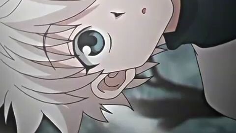 killua zoldyck my husbu
