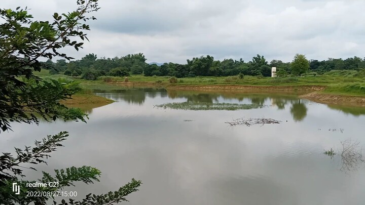 shore lake green view happy 👀