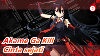 Akame Ga Kill| Orang yang memaksakan untuk menontonny pasti cinta sejati_2