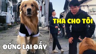 Có Con Ở Đây ! Chạy Đi Đâu Cho Thoát 😎 Gâu Đần Official