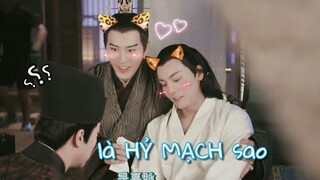 [Fmv vietsub][hộc châu phu nhân] Từ Khai Sính x Trần Vỹ Đình | gian tình từ phim ra đến hậu trường 2