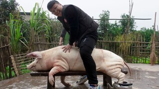 [Makanan]|Beli Seekor Babi Gemuk Untuk Masak Sup!