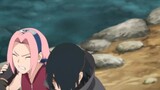 Sasuke was rescued by Sakura when he was a child in a coma, and Sakura still disliked Sasuke in the 
