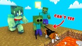 Monster School : Baby Zombie can`t See - Sad Story - Minecraft Animation