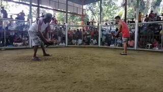 tsamba again