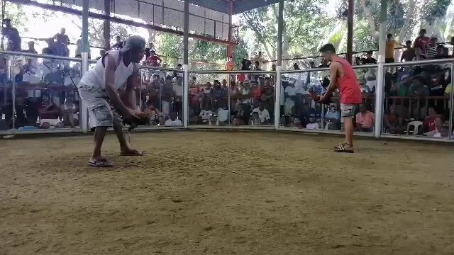 tsamba again