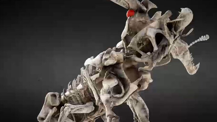 Dinosaur turns into beetle in seconds