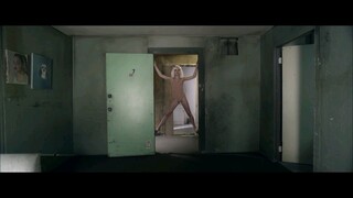 Chandelier- Sia (Music Vedio)