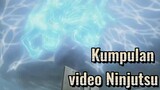 Kumpulan video Ninjutsu