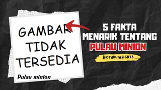 5 Fakta Menarik Tentang Masalalu Trafalgar D Water Law di Pulau Minion 🔥