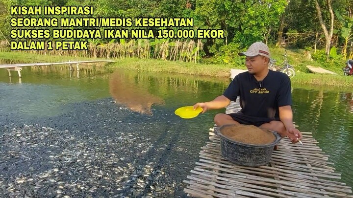 KISAH INSPIRASI, SEORANG MANTRI/MEDIS KESEHATAN SUKSES BUDIDAYA IKAN NILA 150.000 EKOR DALAM 1 PETAK