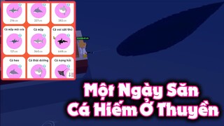 Play Together | Một Ngày Đi Săn Cá "HIẾM" Ở Thuyền Và Cái Kết