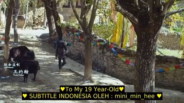 to my 19 years old sub indo