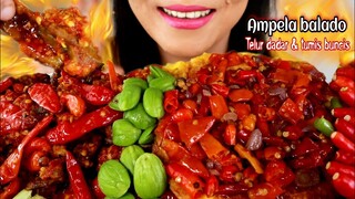 ASMR AMPELA BALADO + TELUR DADAR SAMBEL TUMIS + OSENG BUNCIS | ASMR MUKBANG INDONESIA