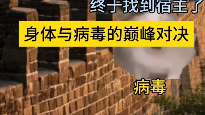 病毒:我要打十个!!!