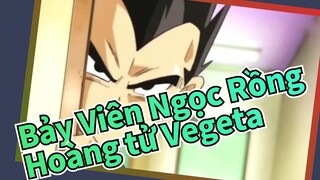 Bảy Viên Ngọc Rồng
Hoàng tử Vegeta