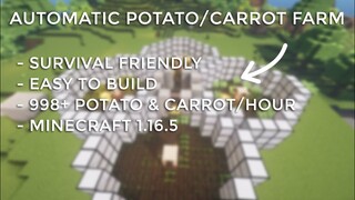 Minecraft: Automatic Potato/Carrot Farm in Minecraft 1.17