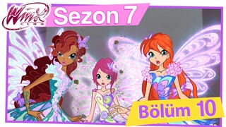 Winx Club - Sezon 7 Bölüm 10 - Winx Tuzağa Düşer