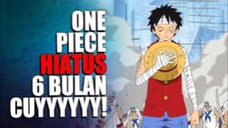 ONE PIECE HIATUS??