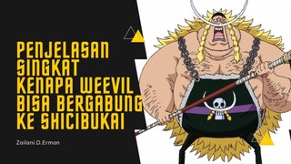 Penjelasan Singkat kenapa Weevil bisa berada dan bergabung ke Shichibukai