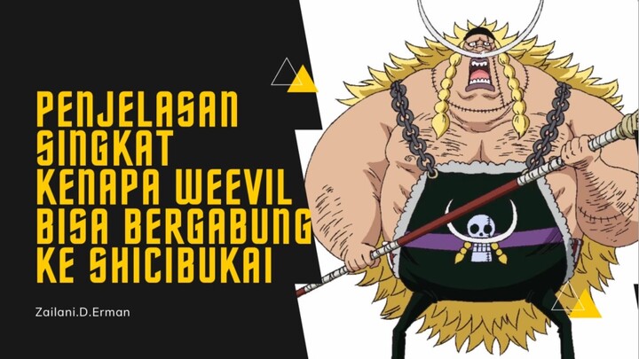 Penjelasan Singkat kenapa Weevil bisa berada dan bergabung ke Shichibukai