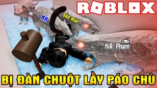 Vamy Toang Bị Bầy Chuột Lầy Tấn Công Páo Chù Vì Quá Bá Đạo | RAT MAZE | Vamy Trần