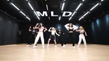 Lapillus "who's Next" Dance Practice