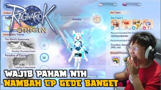 WAJIB TAU ! EQUIPMENT PET ! NAMBAH CP KALIAN GEDE BANGET ! RAGNAROK ORIGIN