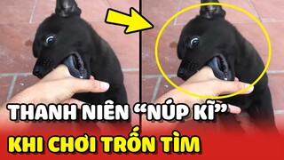 Thanh niên chó Mực loay hoay TÌM CHỖ TRỐN khi chơi TRỐN TÌM 😂 | Yêu Lu