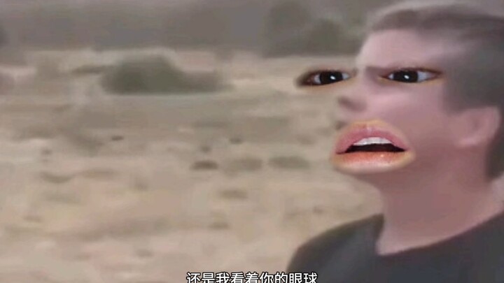 自己看看
