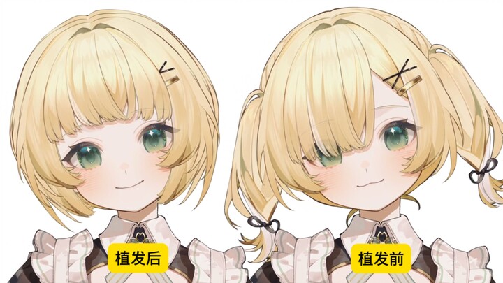 我就说发型很影响气质吧！live2d赛博植发