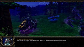 Warcraft 3 Scourge C3  The Dark Lady