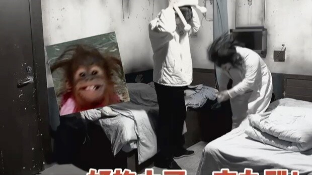 NPC: Tôi không hiểu nhưng tôi tôn trọng nó và tôi có thể kiếm tiền