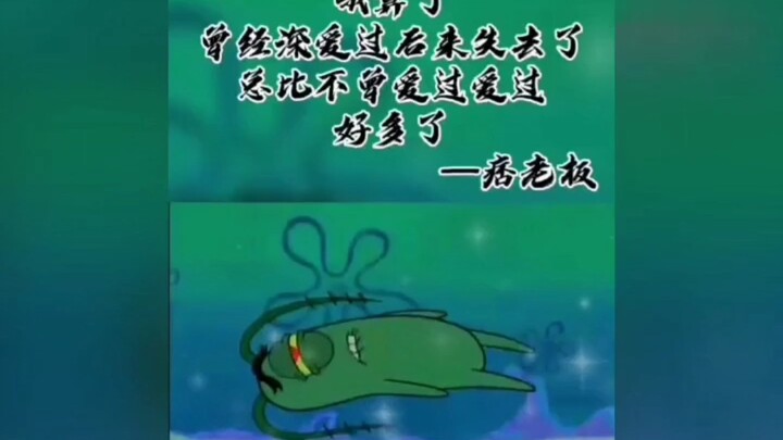 Báo giá xã hội của SpongeBob SquarePants