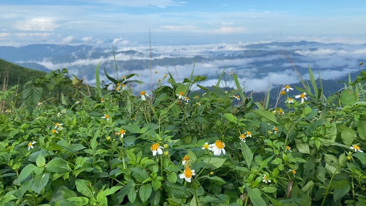 เนินช้างศึก⛰️🍃☁️