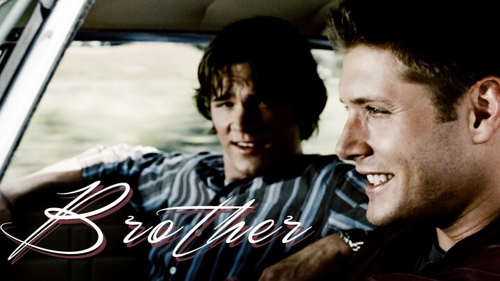 "Brother, I promise you that the sun will shine on us again" | Portrait of European and American bro