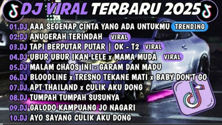 DJ TIKTOK TERBARU 2025🎵DJ AAA SEGENAP CINTA YANG ADA UNTUKMU🎵DJ ANUGERAH TERINDAH