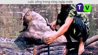 Sinh Tồn Trong Rừng Ngập Nước p1