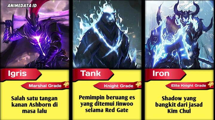 Solo Leveling Season 2 | Bayangan Sung Jinwoo