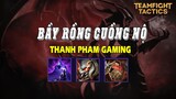 Thanh pham Gaming  -  Đấu trường chân lý đội hình cuồng long  -  Bầy rồng cuồng