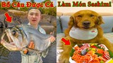 Thú Cưng TV | Đa Đa Thánh Chế #17 | Chó Golden Gâu Đần thông minh vui nhộn | Pets cute smart dog