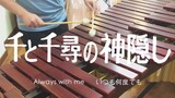 Spirited Away: 'Always with Me' Played on Marimba