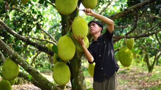 Gỏi Mít Non Và Món Bánh Của Tuổi Thơ Ăn Là Nhớ Mãi