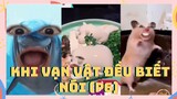 Khi vạn vật đều biết nói sẽ ra sao ? (P6) Tổng hợp Tiktok Việt Nam | Viral Tiktok