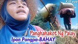 Panghahakot Ng Palay Ipon PangpaBAHAY😢☝️