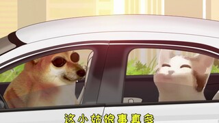 Why don't you take another car?