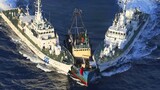 TOP Biggest Ships & Boats Crash 2021 - Expensive Boat Fails Compilation -  Dangerous Ships Collision