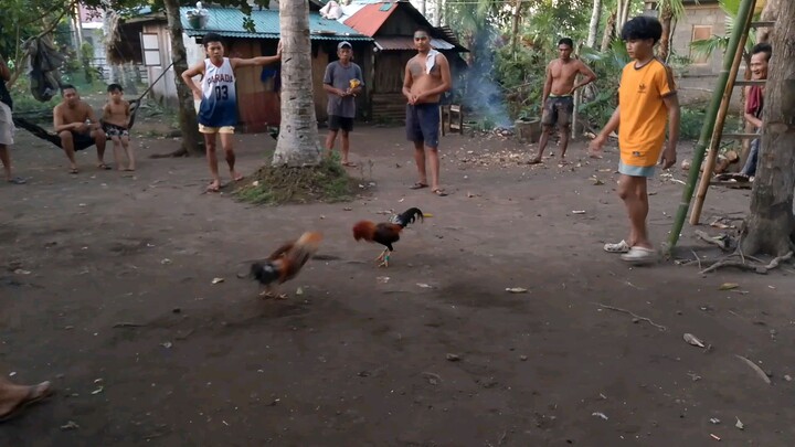 1 hit naka chamba manok ni tropa